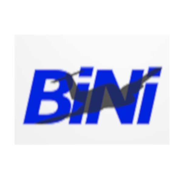 Bini Advanced Flight Training